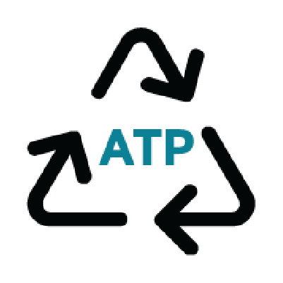 Helps Support ATP Recycling*